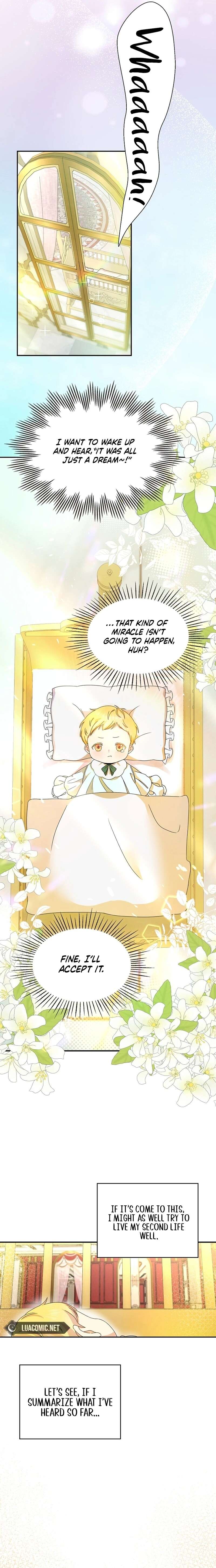 Chapter 1 - Image 6