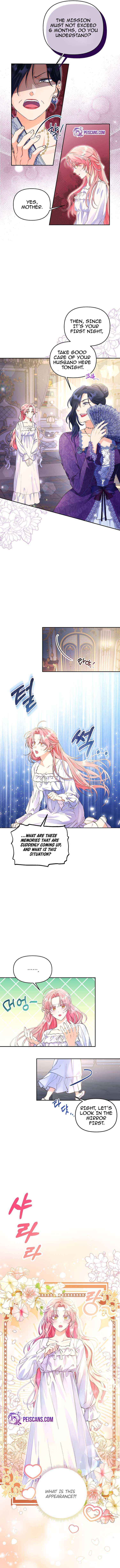 Chapter 1 - Image 4