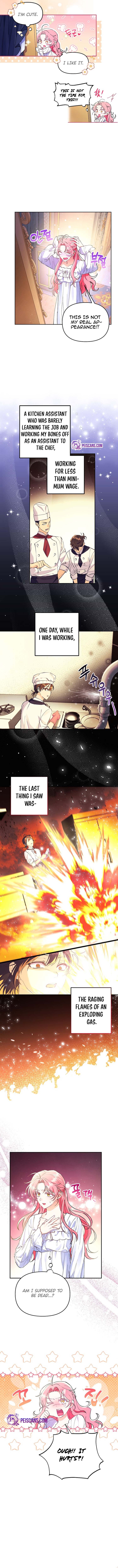 Chapter 1 - Image 5
