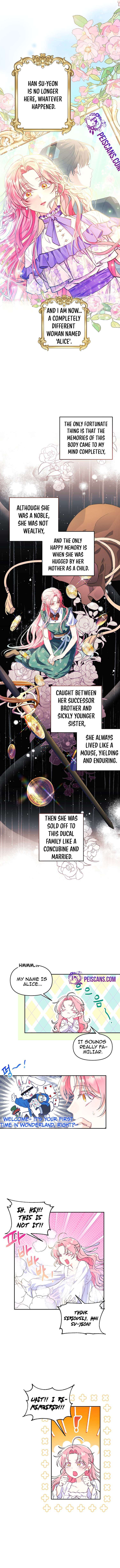 Chapter 1 - Image 6