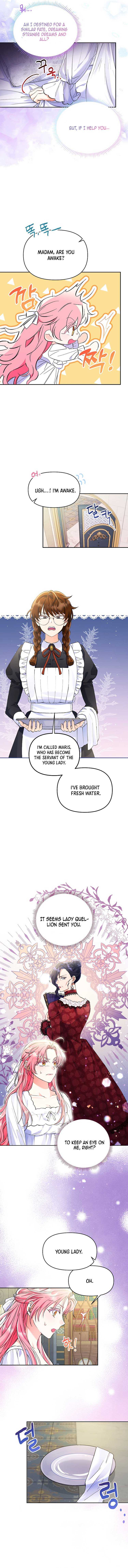 Chapter 2 - Image 6