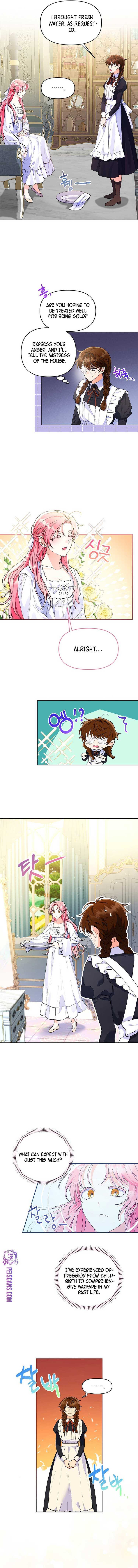 Chapter 2 - Image 7