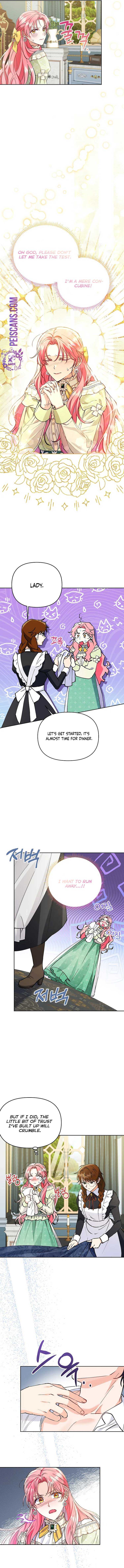 Chapter 7 - Image 4