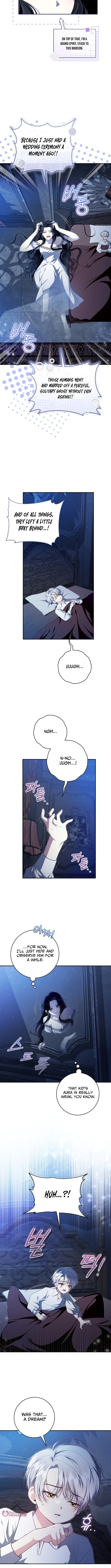 Chapter 1 - Image 8