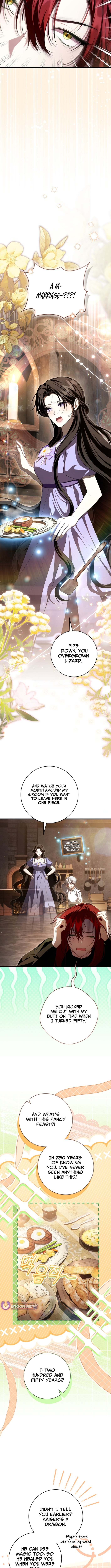 Chapter 11 - Image 4