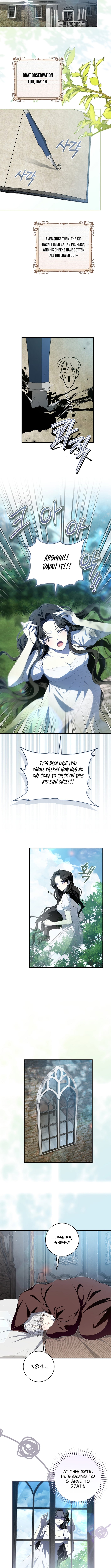 Chapter 2 - Image 6