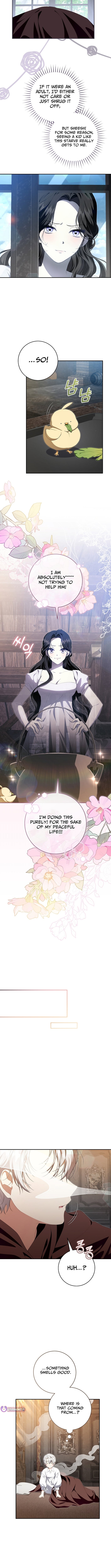 Chapter 2 - Image 7