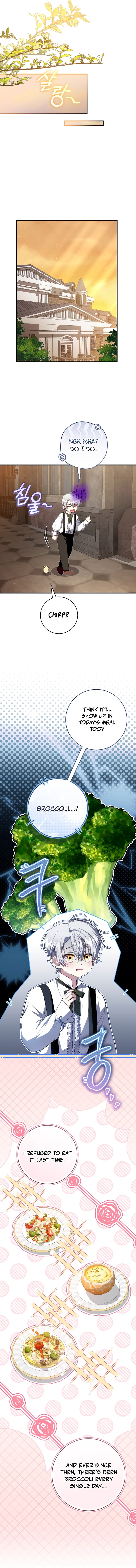 Chapter 3 - Image 6