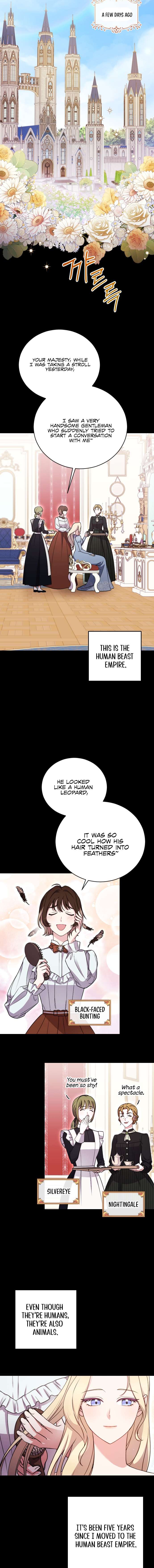 Chapter 1 - Image 3