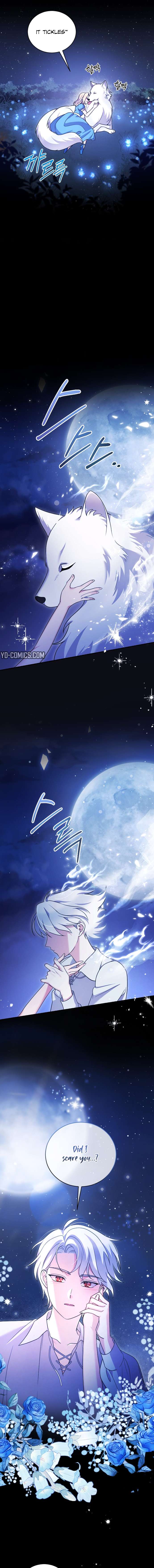 Chapter 1 - Image 9