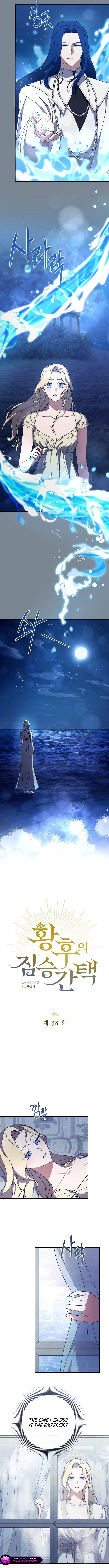Chapter 38 - Image 3
