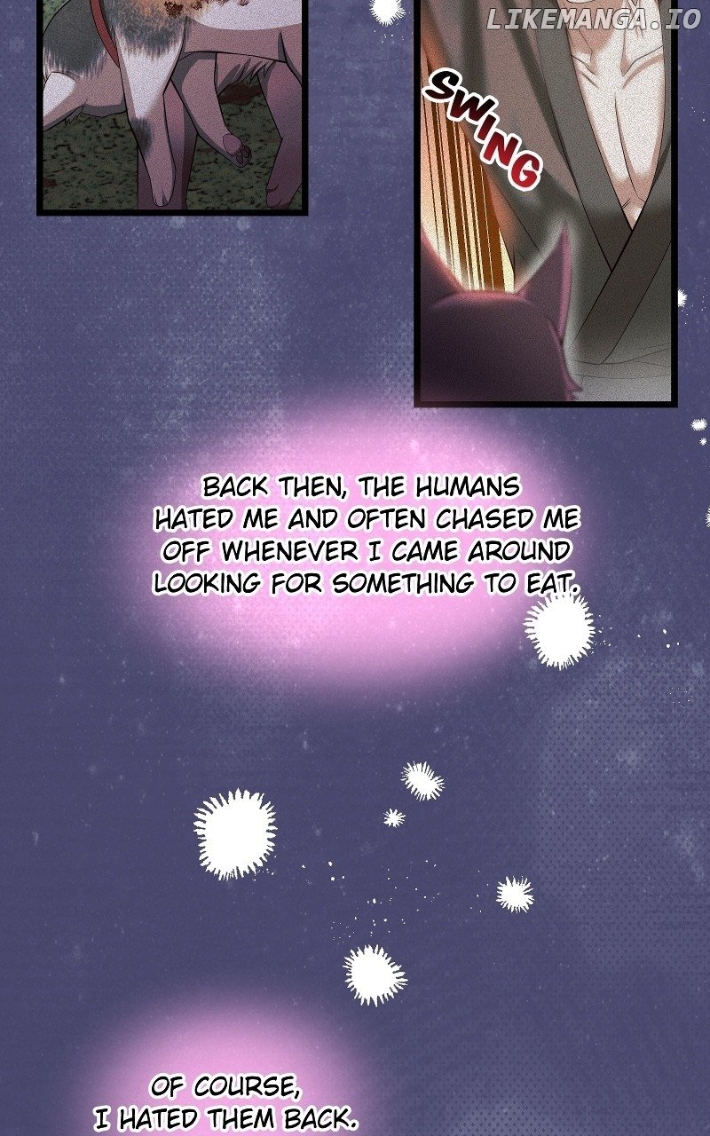 Chapter 18 - Image 4