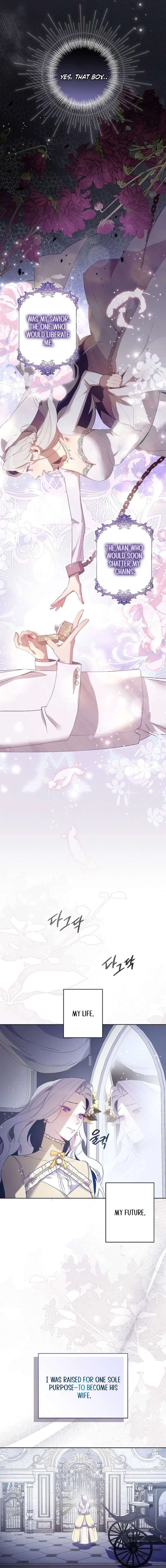 Chapter 1 - Image 10