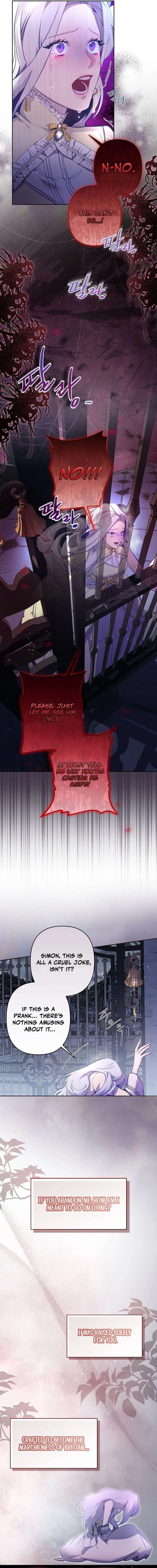 Chapter 1 - Image 12