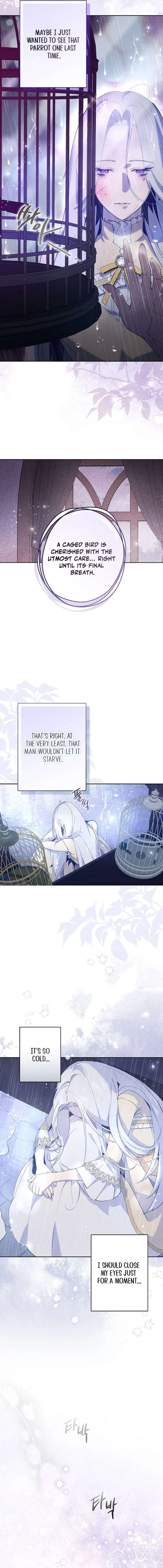 Chapter 1 - Image 20
