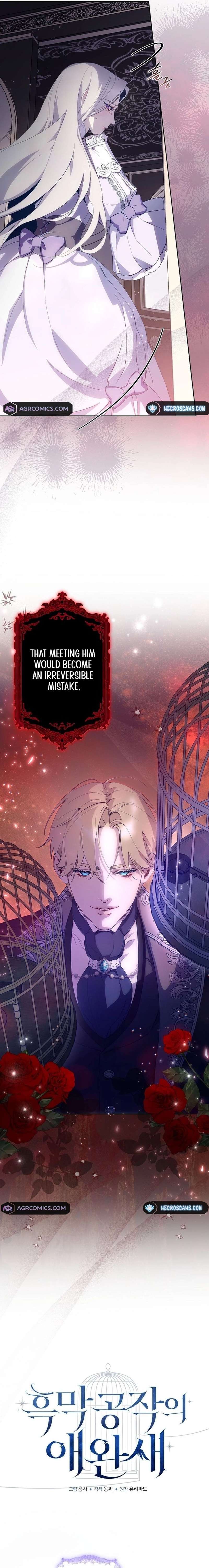 Chapter 1 - Image 5