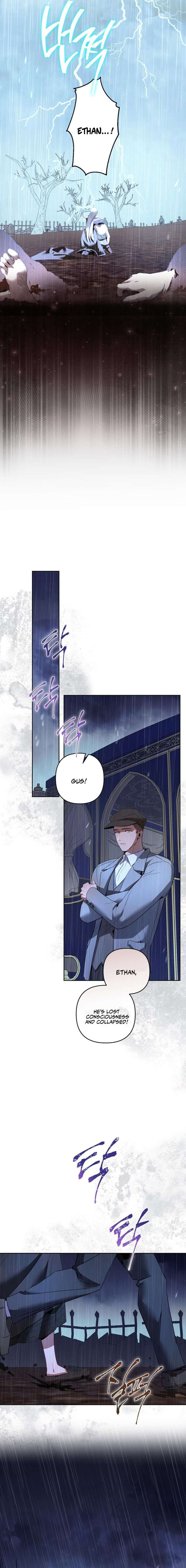 Chapter 11 - Image 14