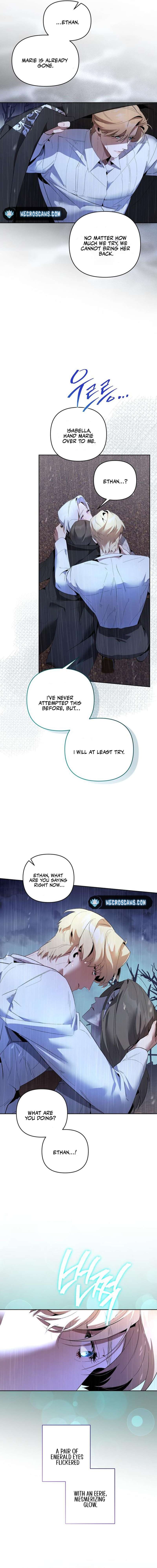 Chapter 11 - Image 9