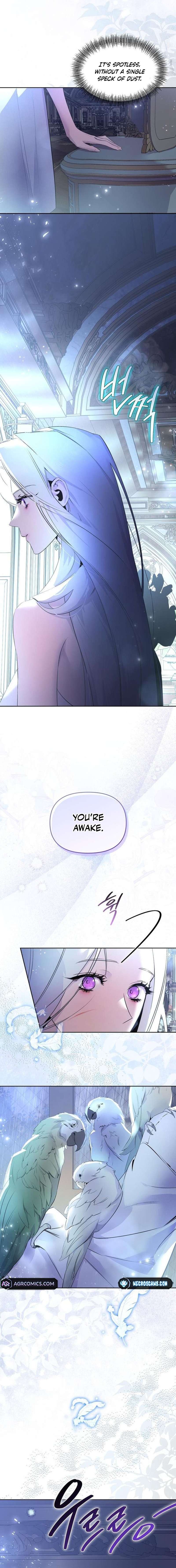 Chapter 2 - Image 3