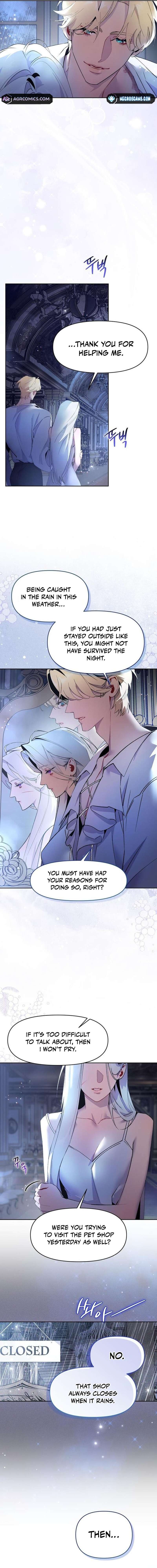 Chapter 2 - Image 6