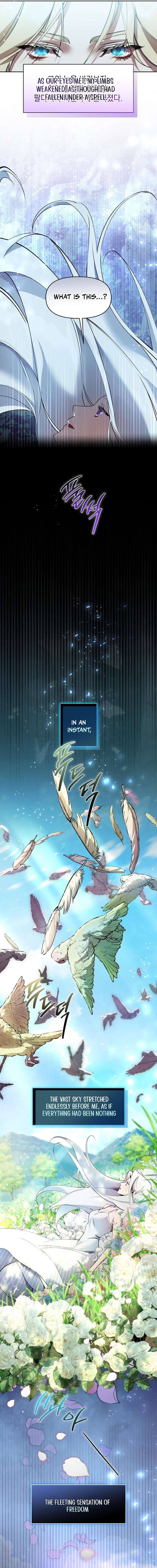 Chapter 3 - Image 2