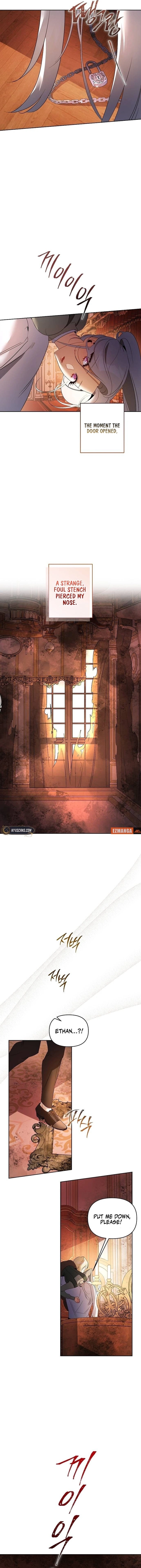 Chapter 31 - Image 3