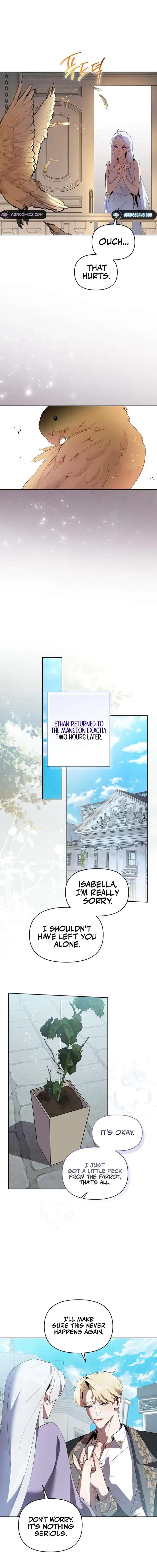 Chapter 5 - Image 10