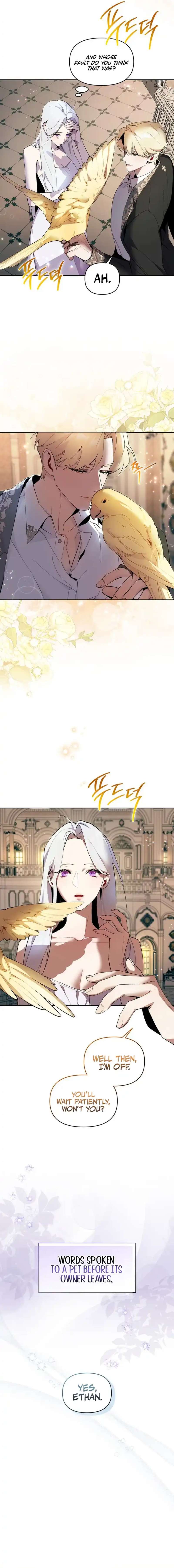 Chapter 5 - Image 4