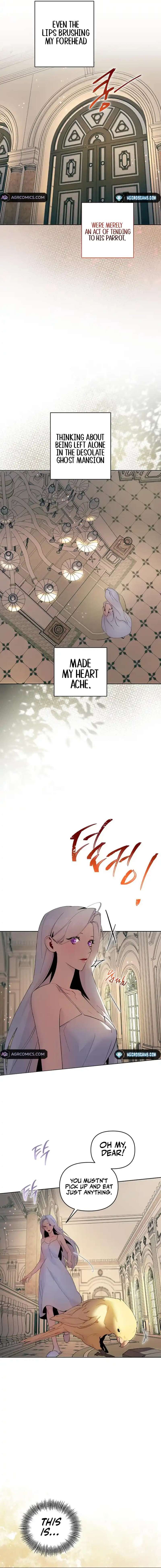 Chapter 5 - Image 5
