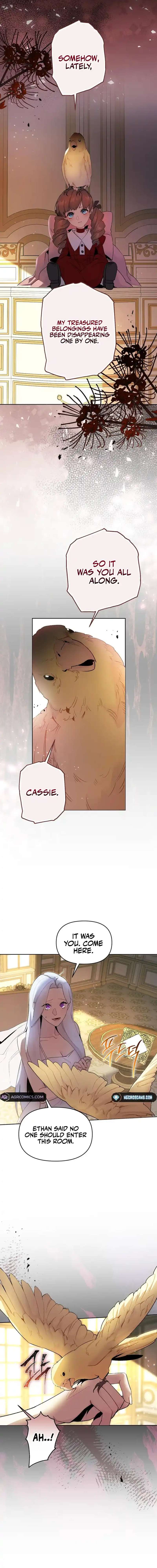 Chapter 5 - Image 9