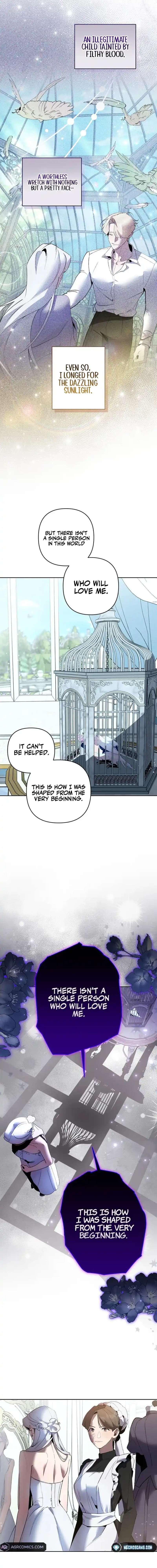 Chapter 6 - Image 12