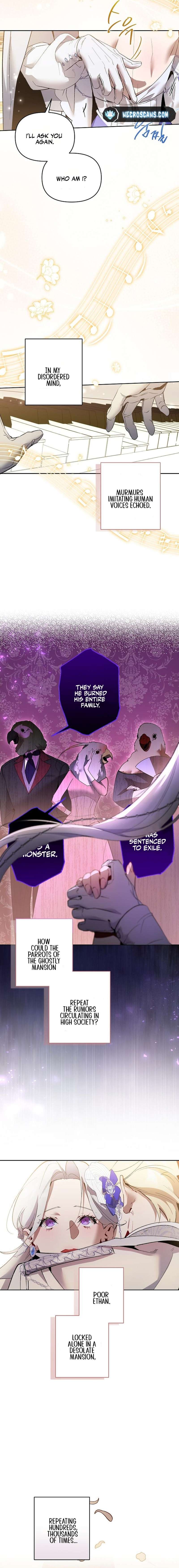Chapter 8 - Image 11
