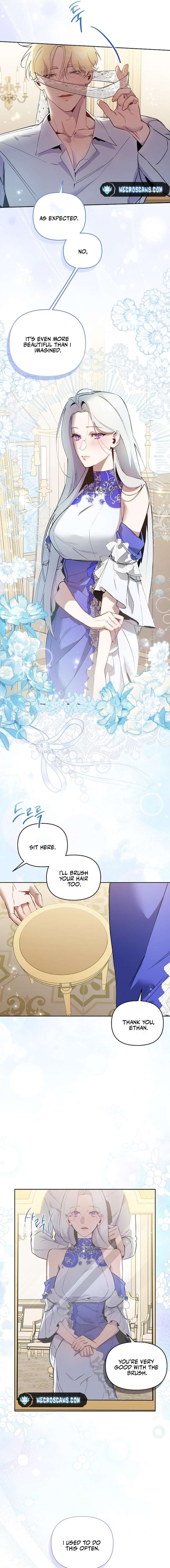 Chapter 8 - Image 3