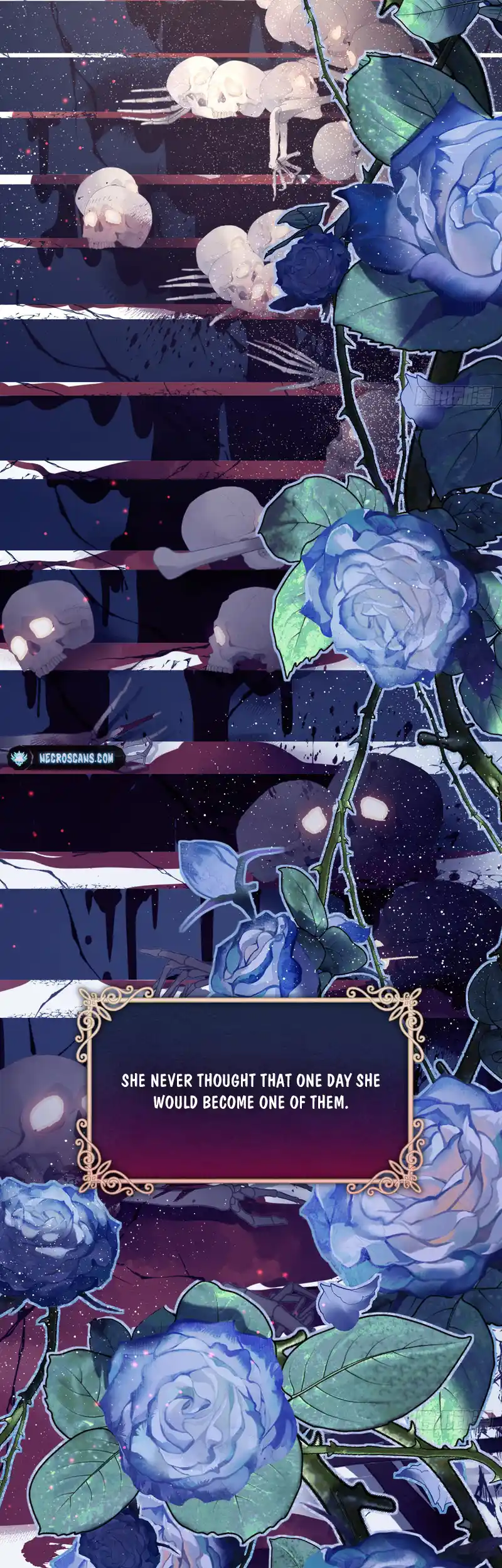 Chapter 2 - Image 5