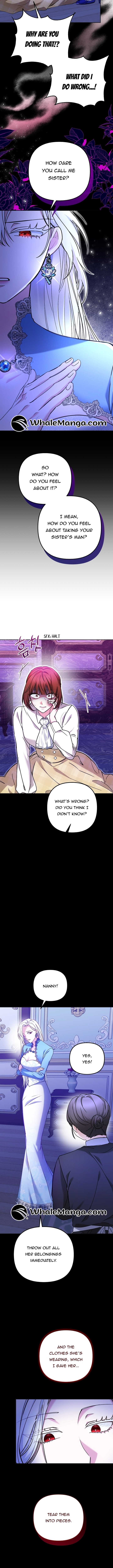 Chapter 1 - Image 14