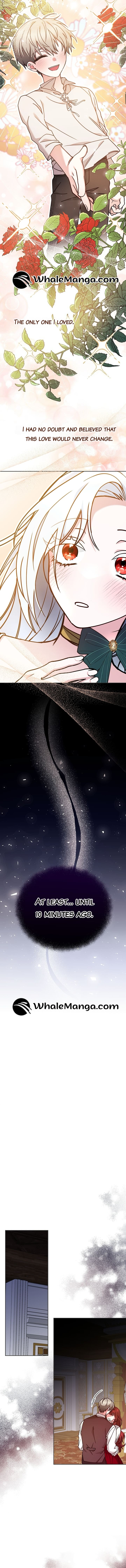 Chapter 1 - Image 3