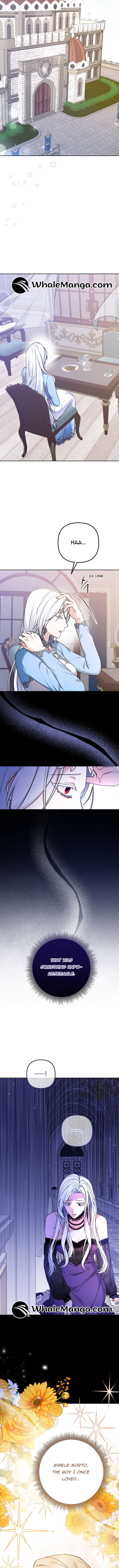 Chapter 1 - Image 7
