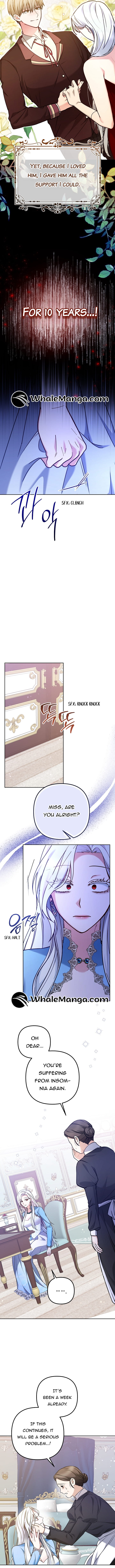 Chapter 1 - Image 9