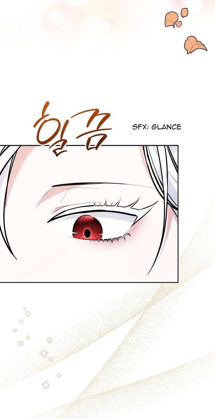Chapter 2 - Image 7