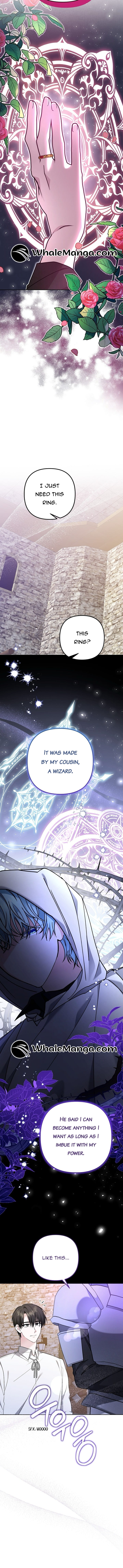 Chapter 3 - Image 7
