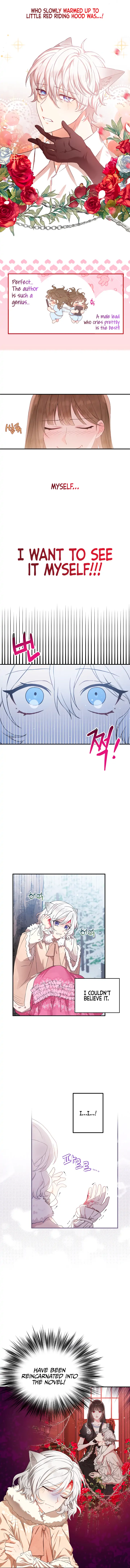 Chapter 1 - Image 11