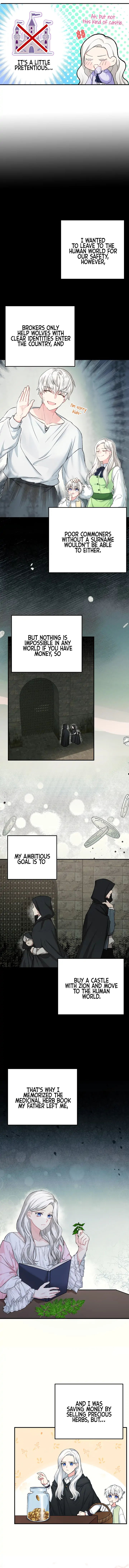 Chapter 3 - Image 5