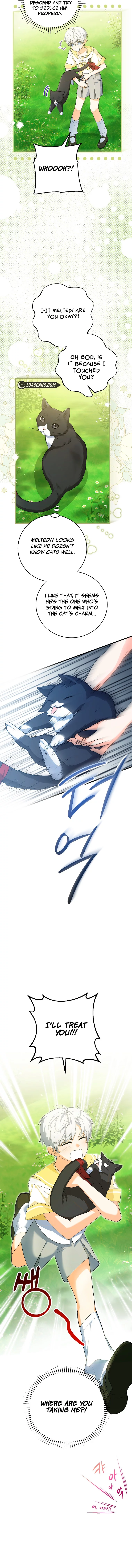 Chapter 43 - Image 4