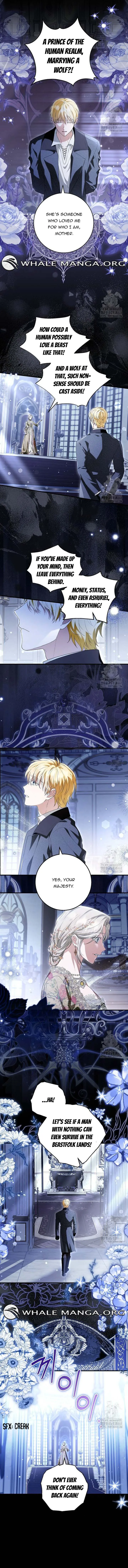 Chapter 74 - Image 6