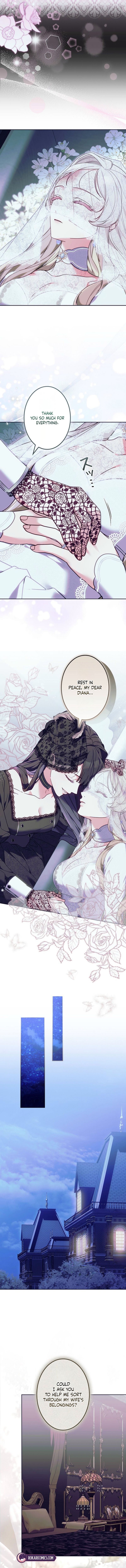 Chapter 1 - Image 10