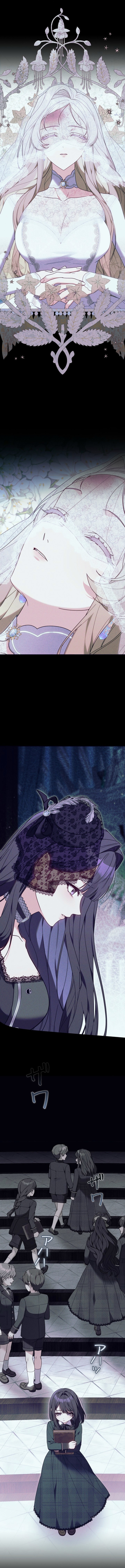 Chapter 1 - Image 7
