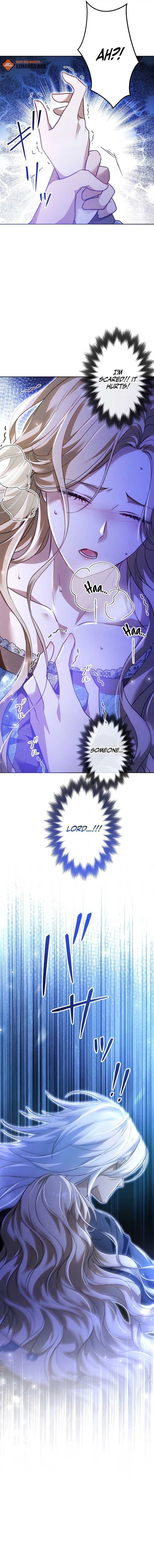 Chapter 6 - Image 4