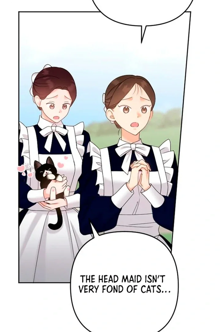 Chapter 21 - Image 8