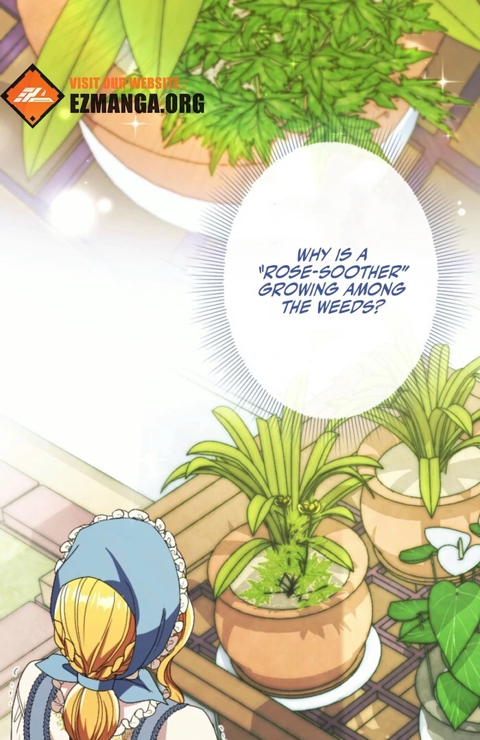 Chapter 13 - Image 3