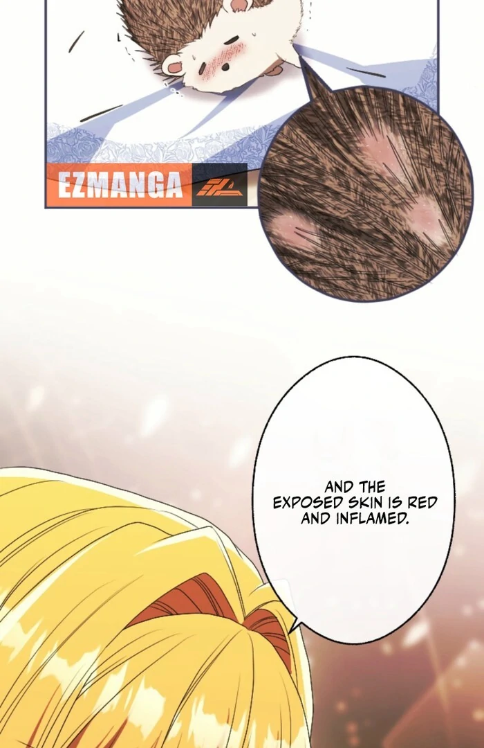 Chapter 15 - Image 25
